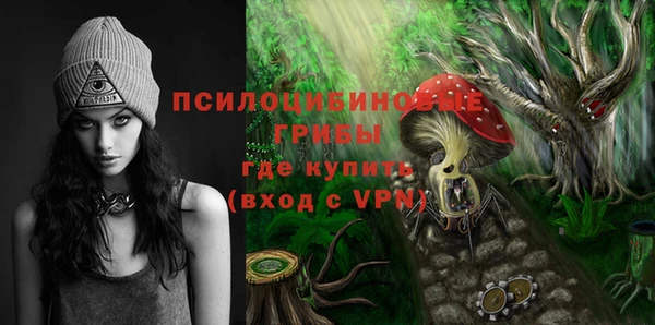 прущие грибы Россошь
